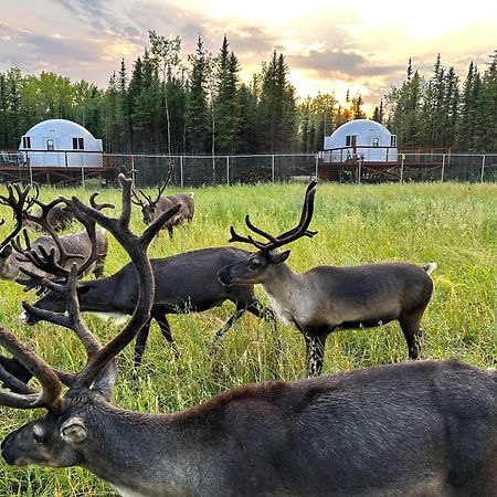 Вилла Pleasant Acres Reindeer Ranch Pleasant Valley Экстерьер фото