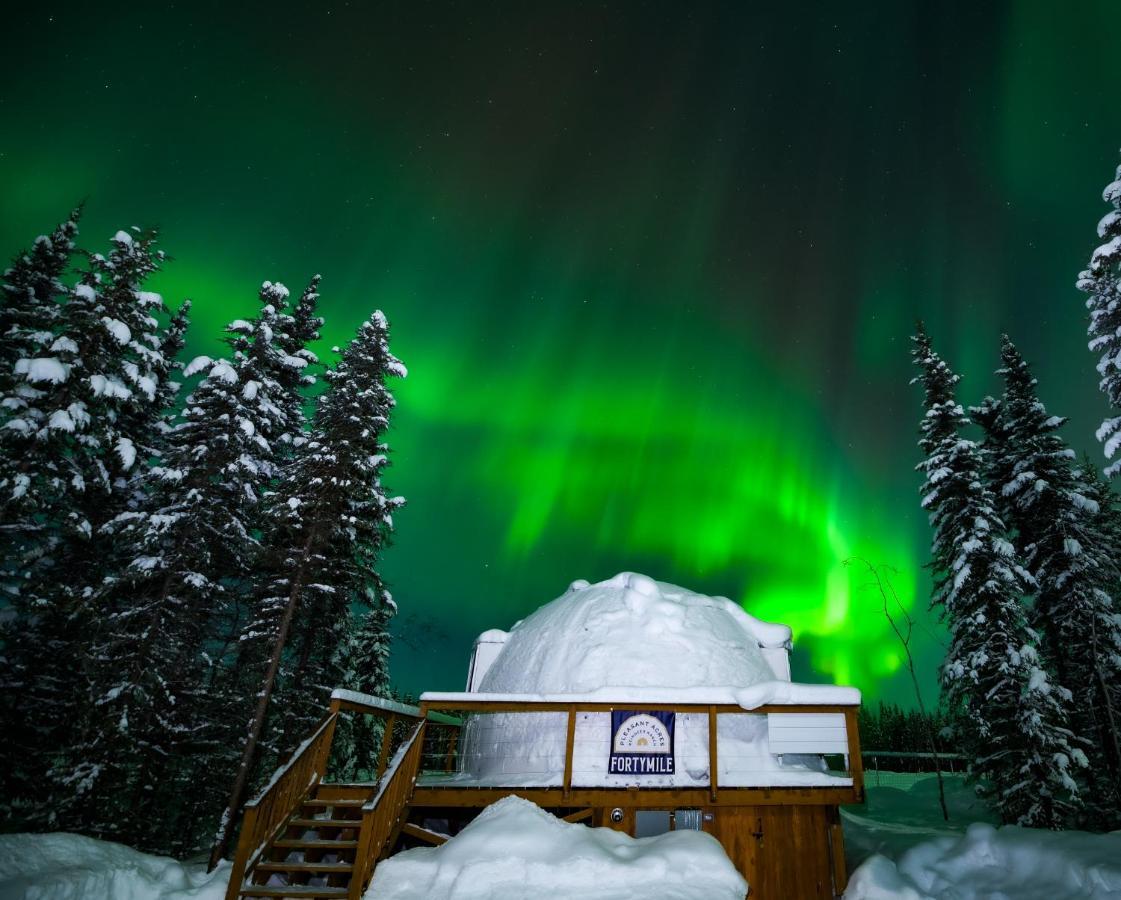 Вилла Pleasant Acres Reindeer Ranch Pleasant Valley Экстерьер фото