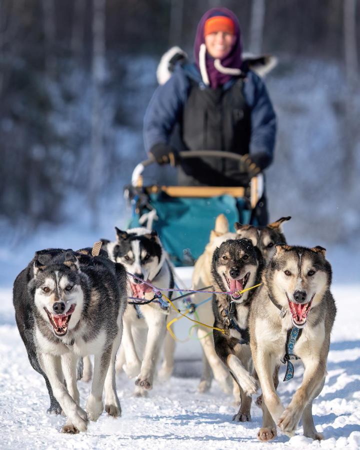 Вилла Pleasant Acres Reindeer Ranch Pleasant Valley Экстерьер фото