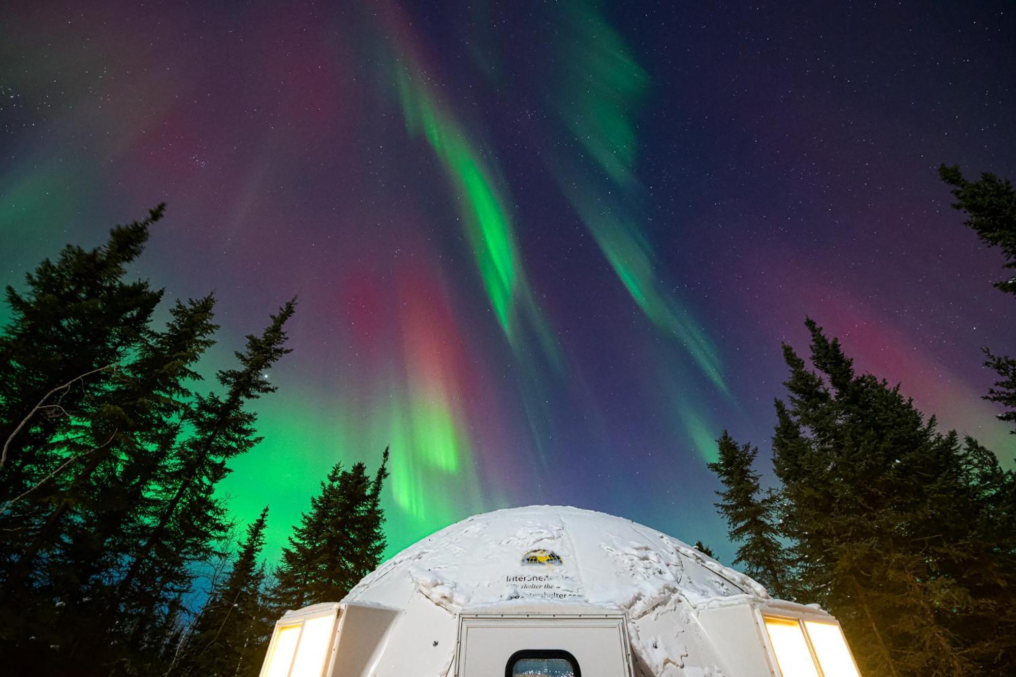 Вилла Pleasant Acres Reindeer Ranch Pleasant Valley Экстерьер фото